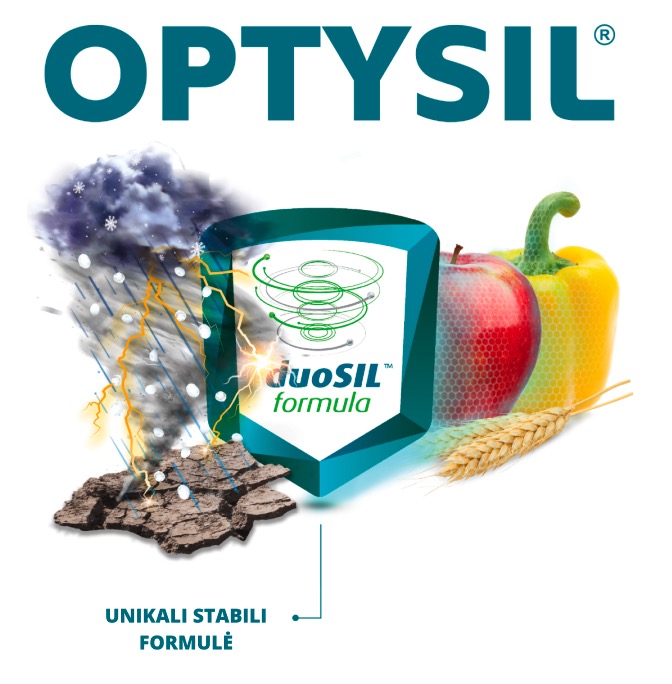 optysil intermag